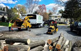 Best Lot and Land Clearing  in Norwood, NC